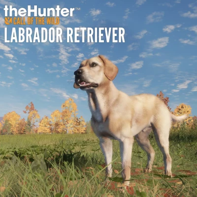 theHunter: Call of the Wild - Labrador Retriever