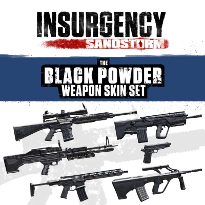 Insurgency: Sandstorm - Black Powder Weapon Skin